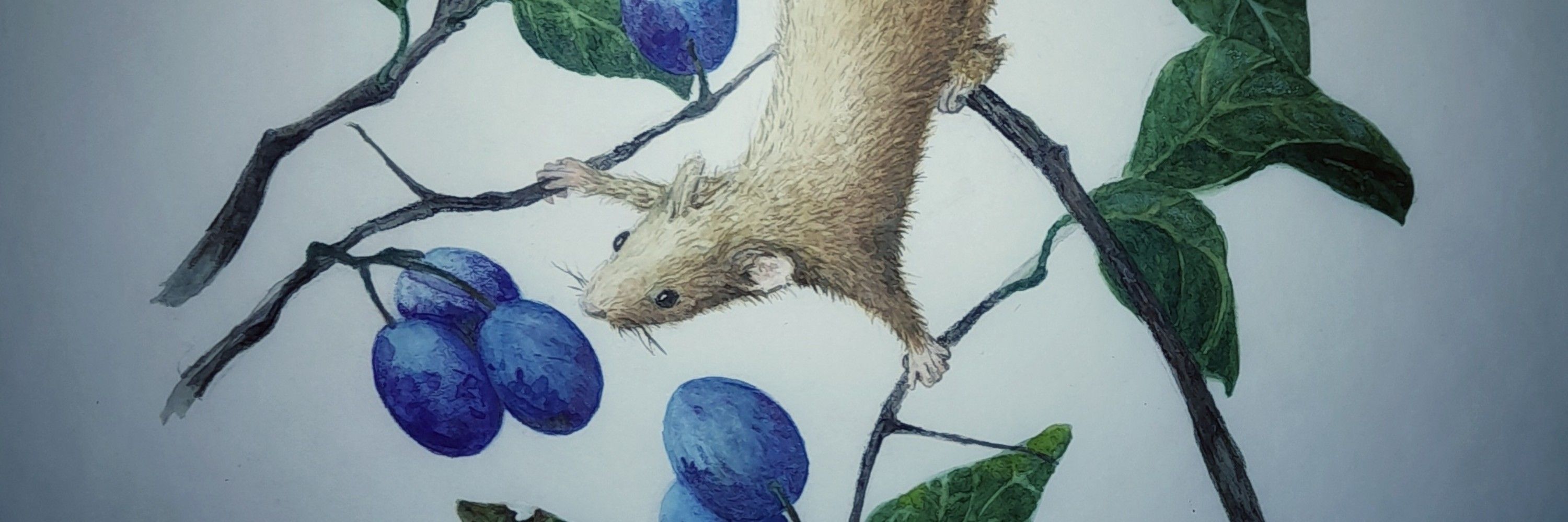 Regine Winkelmann