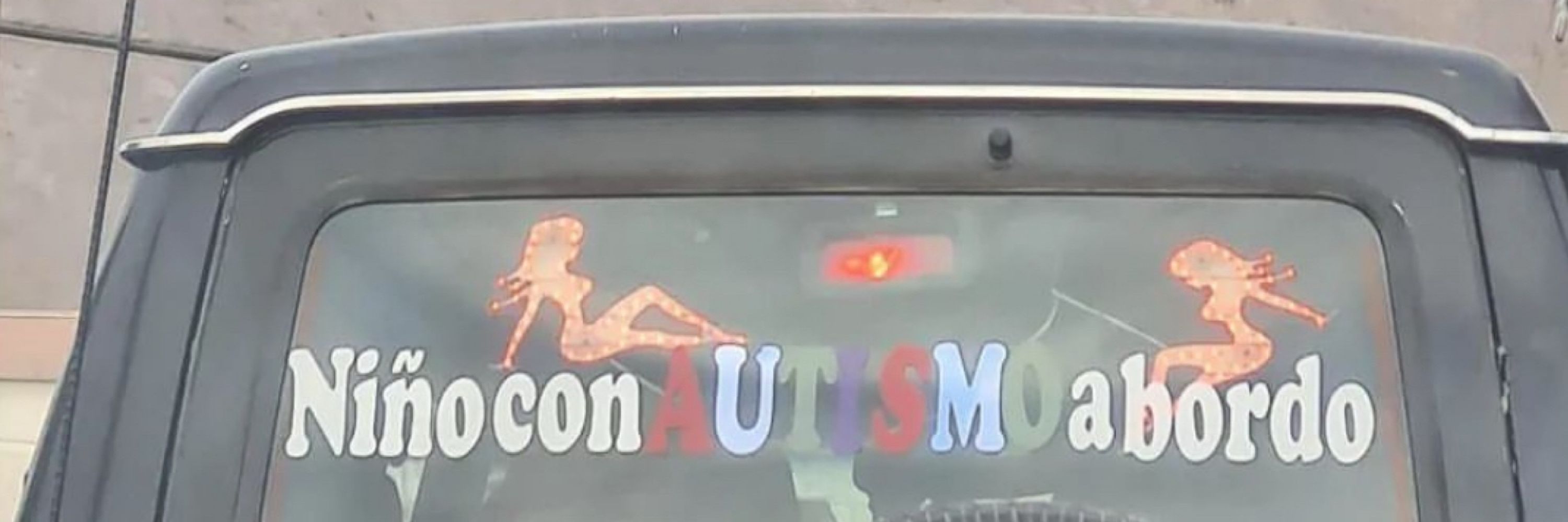 🐢Tortuga Gay🏳️‍🌈