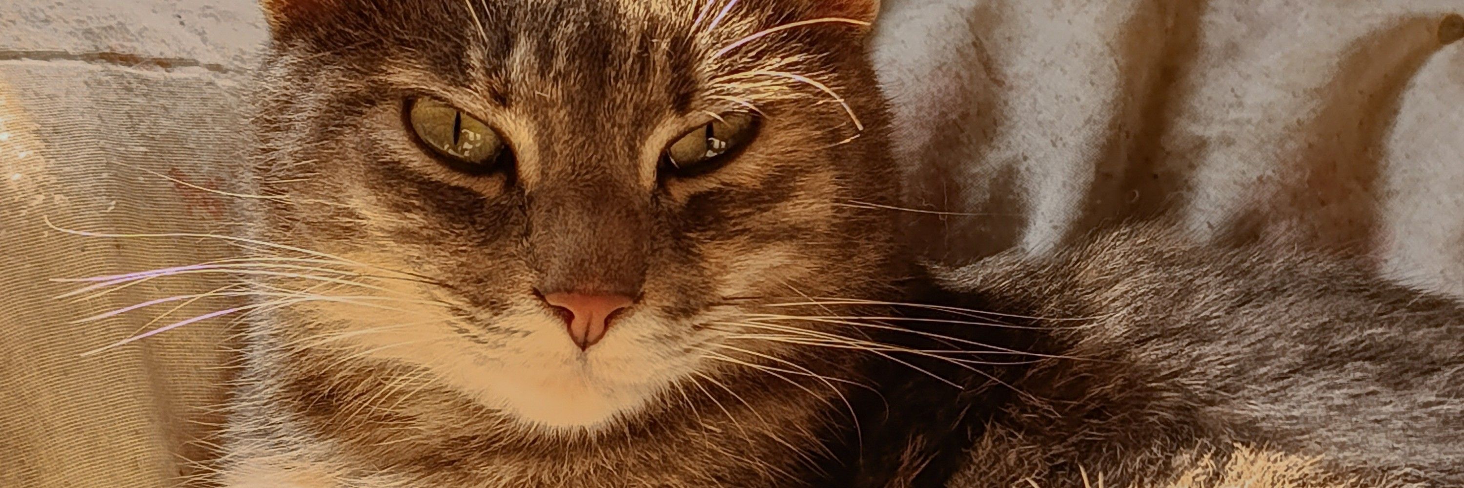 m.