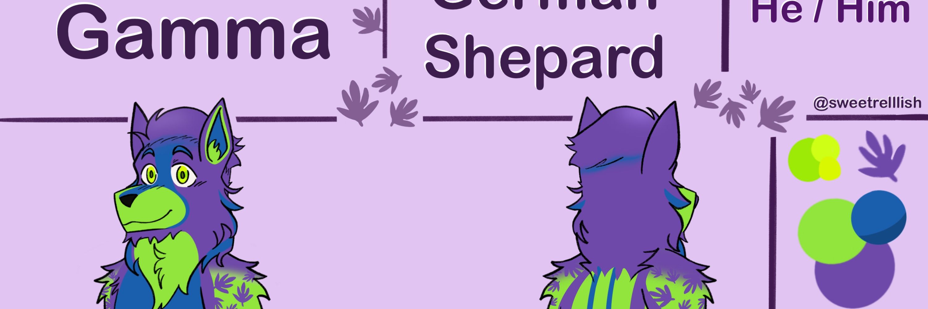 Gamma shepherd