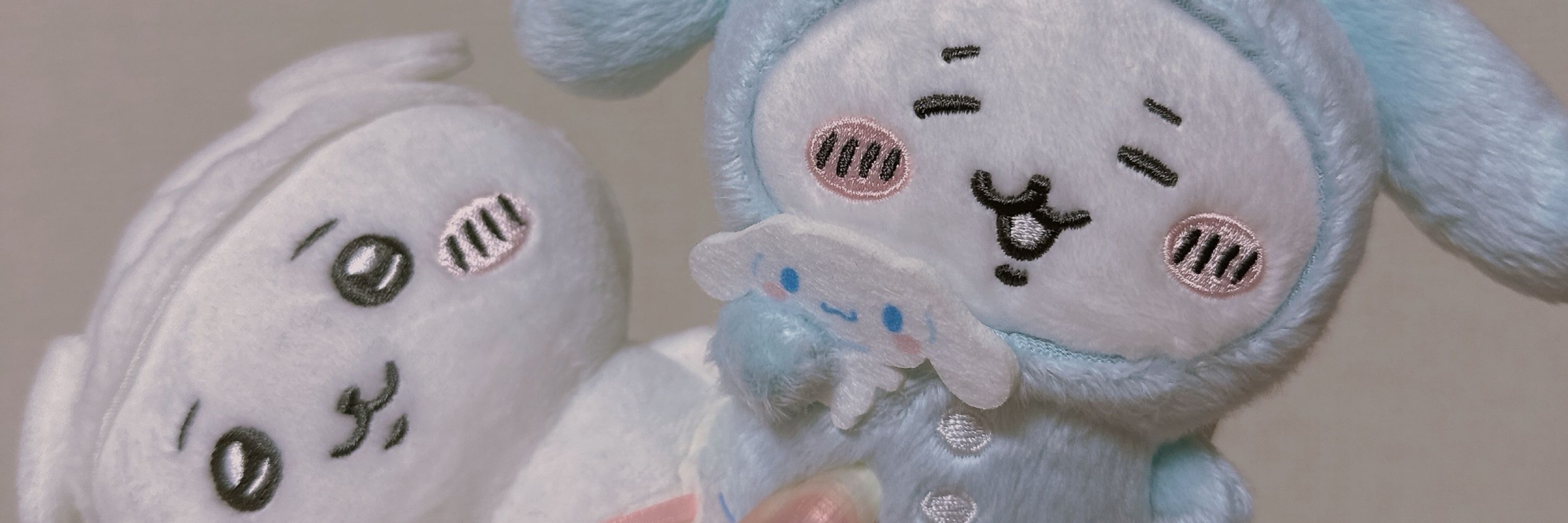 🐰必殺前歯ちゃん🐹