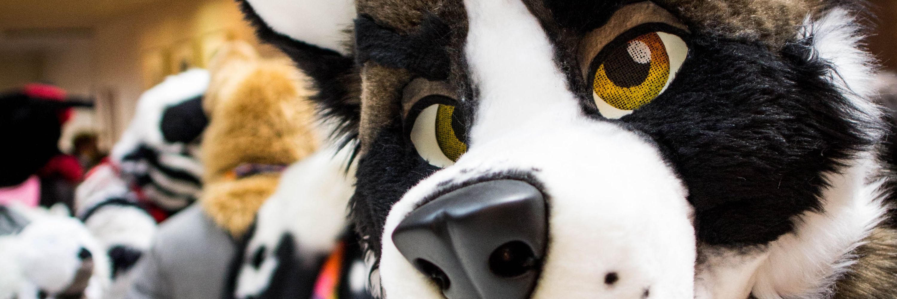 JakeTTiger ✈️ FWA