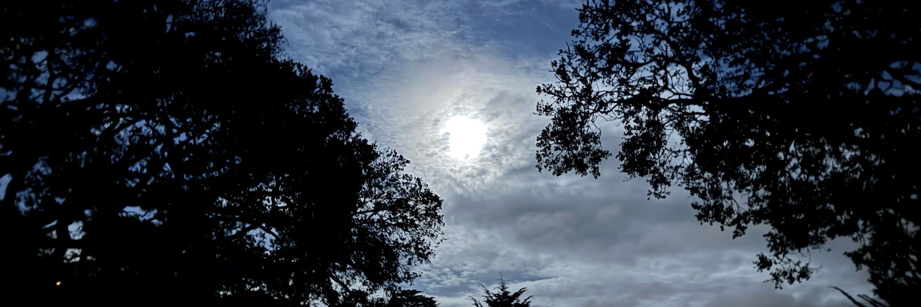 FogSpotter