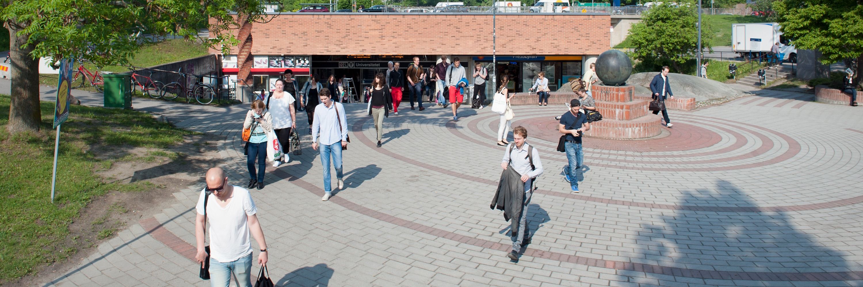 The Swedish Institute for Social Research (SOFI)