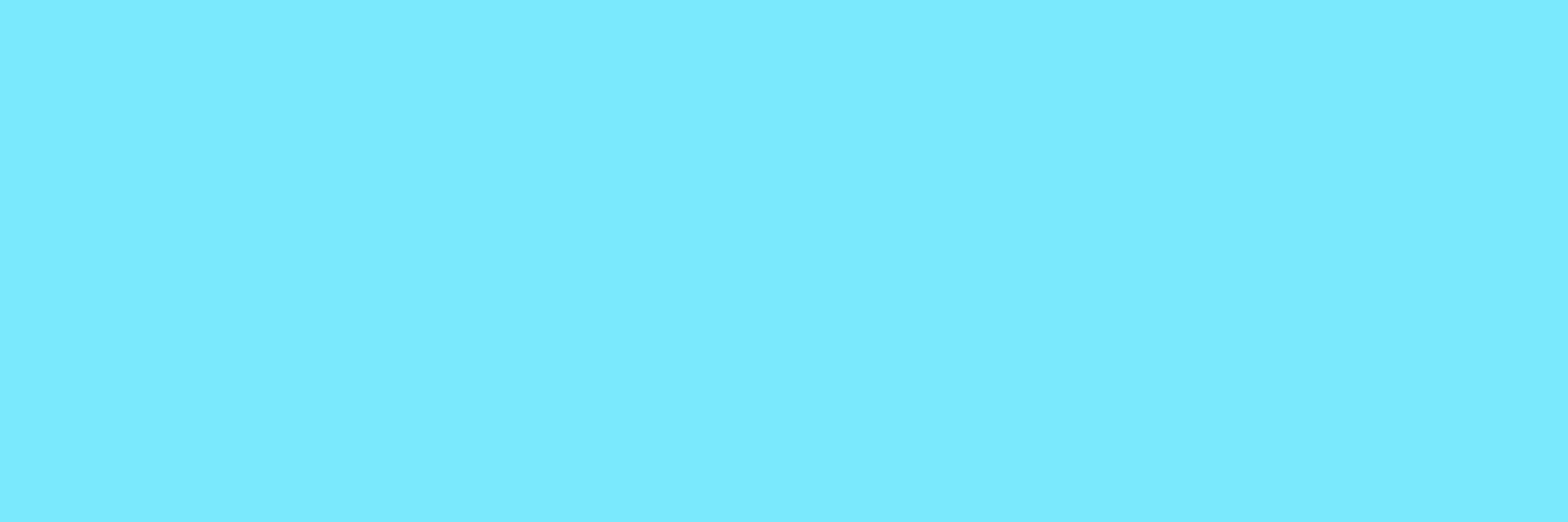 Fleis ᓚᘏᗢ