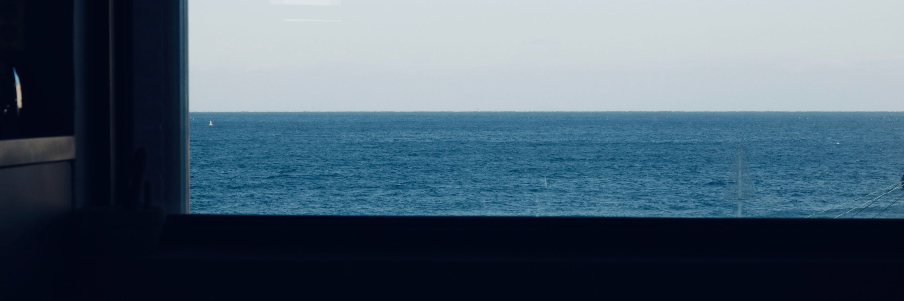 청귤