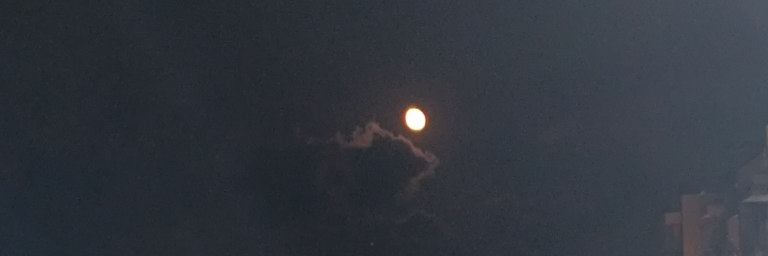 Venus 💖