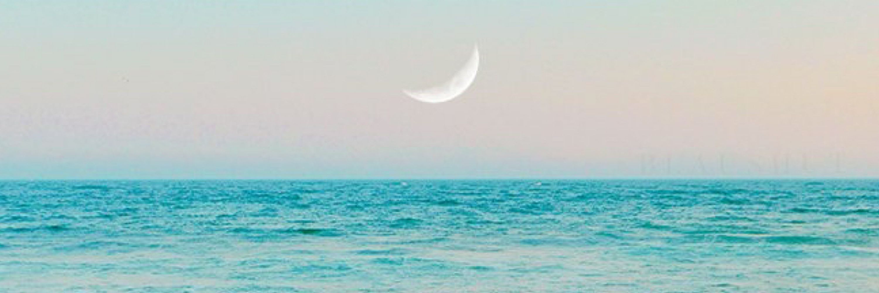 🌙