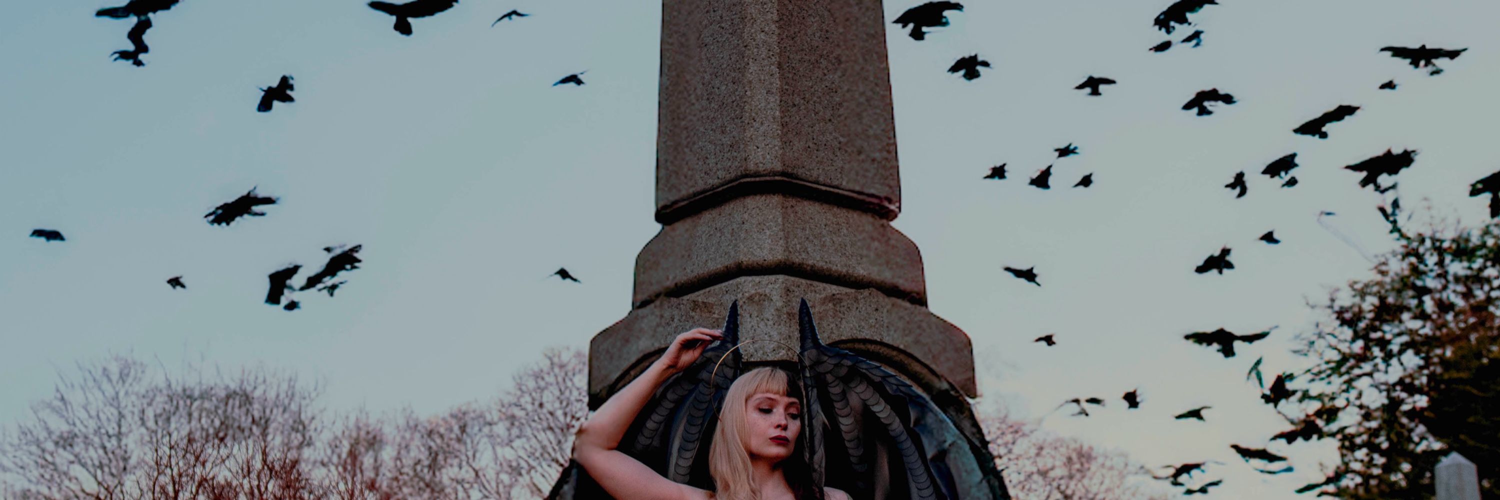 Christine Cicoria Photography