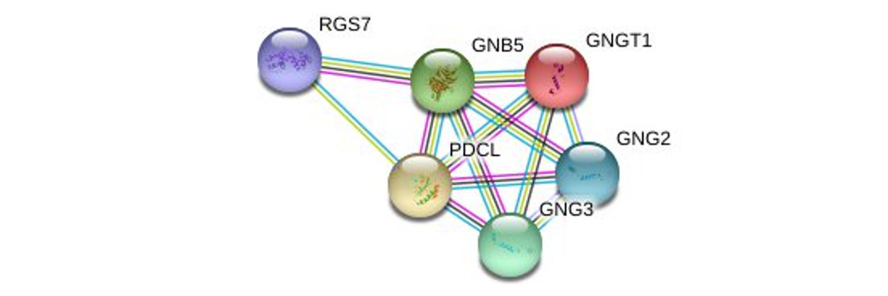 GNB5-Related Neurodevelopmental Disorders