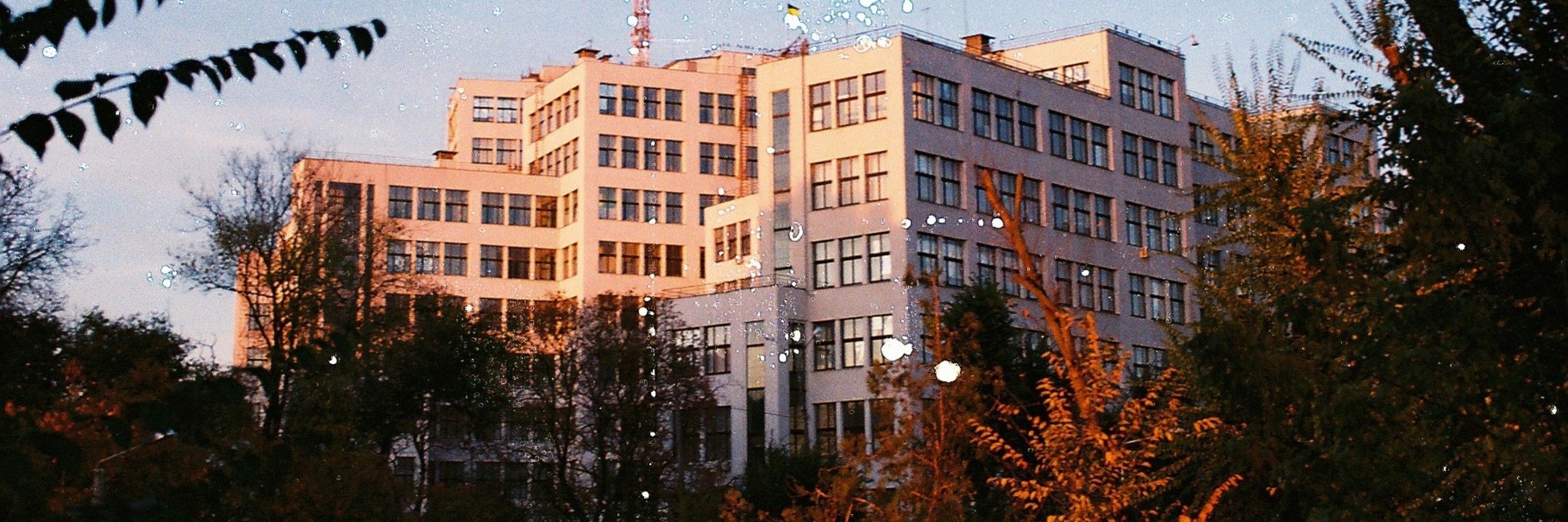 хатній сич