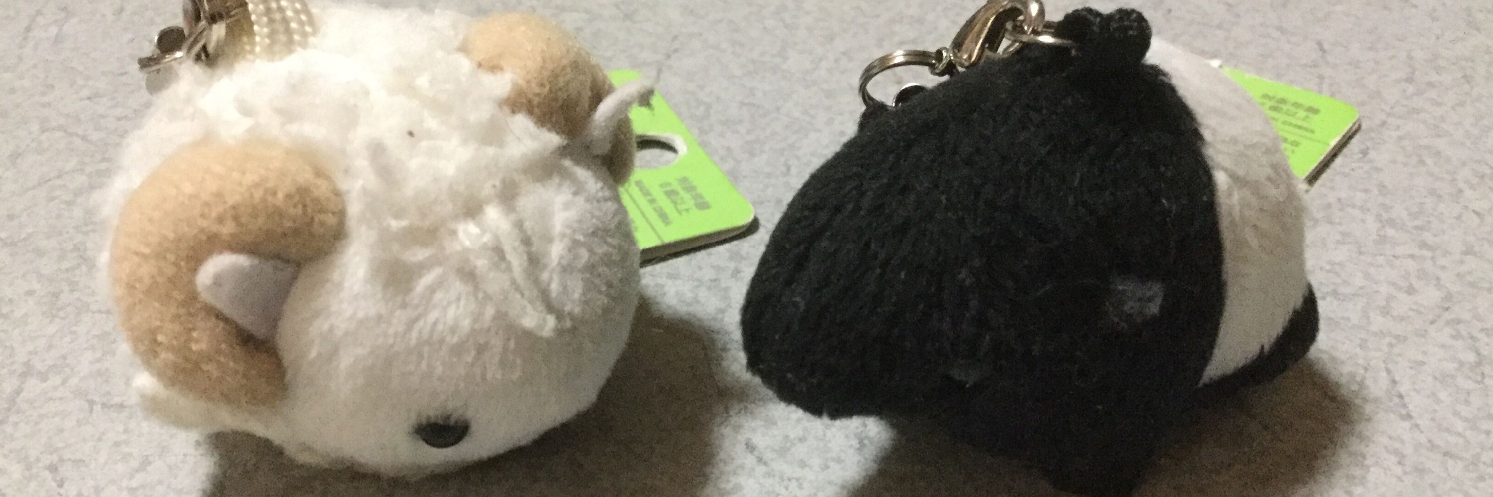 毛玉のチャーリー