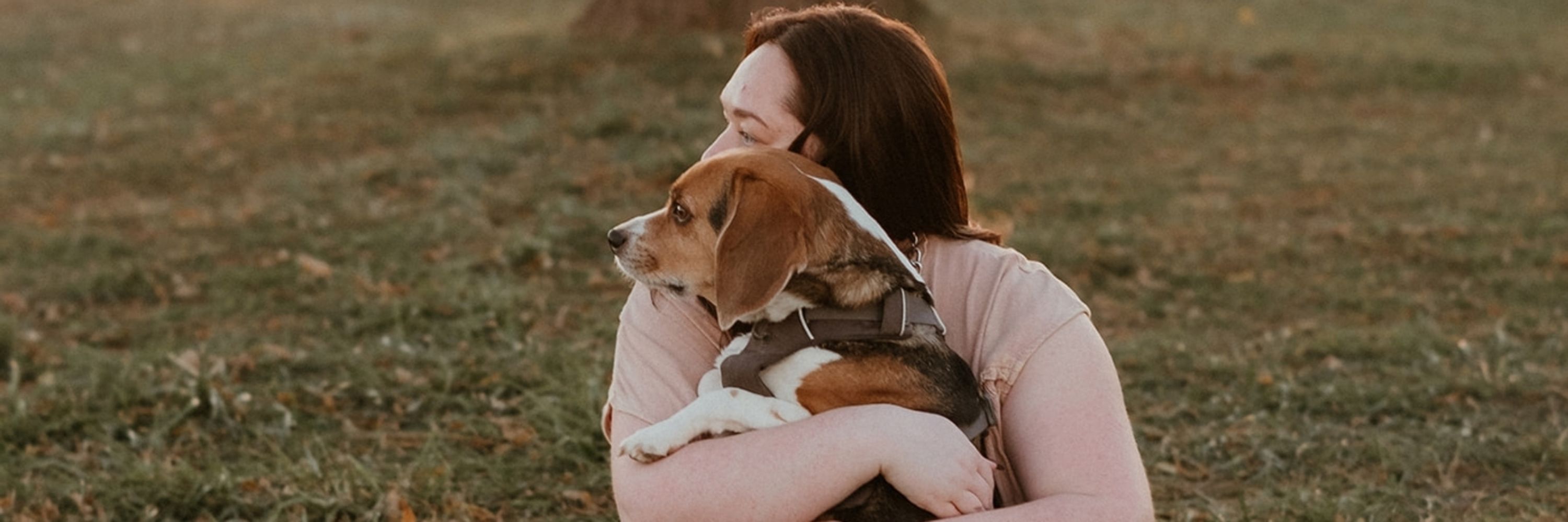 Kayla | Beagle Momma
