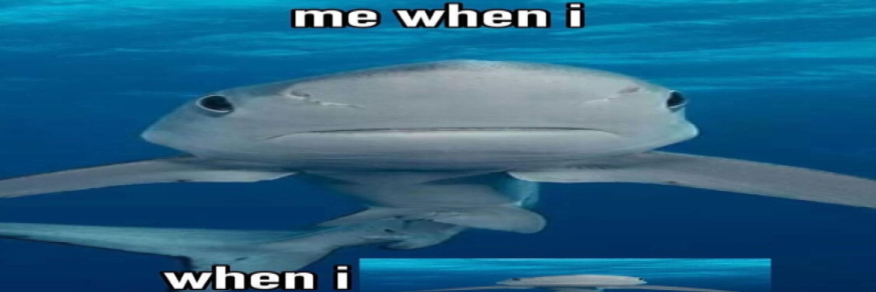 Skart