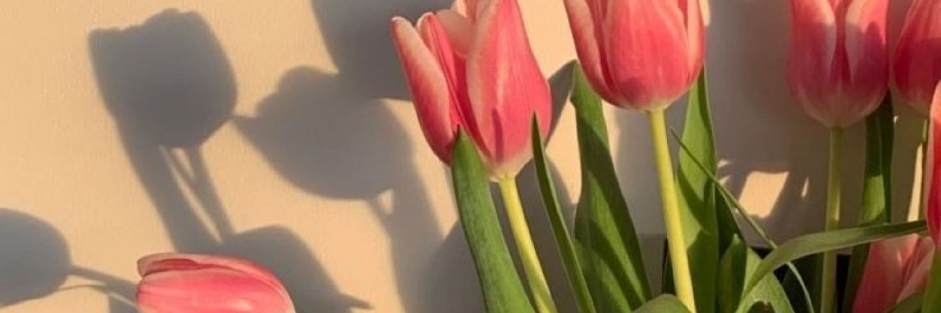 𝐁𝐞𝐥𝐚💐