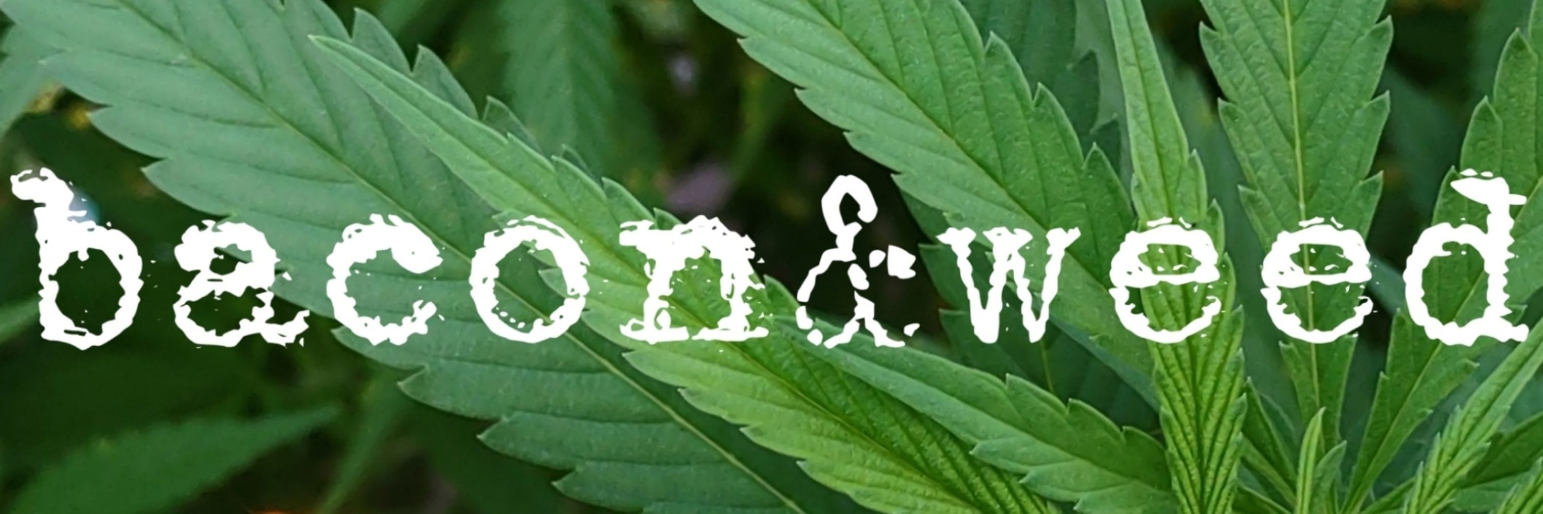 Bacon & Weed 🍁