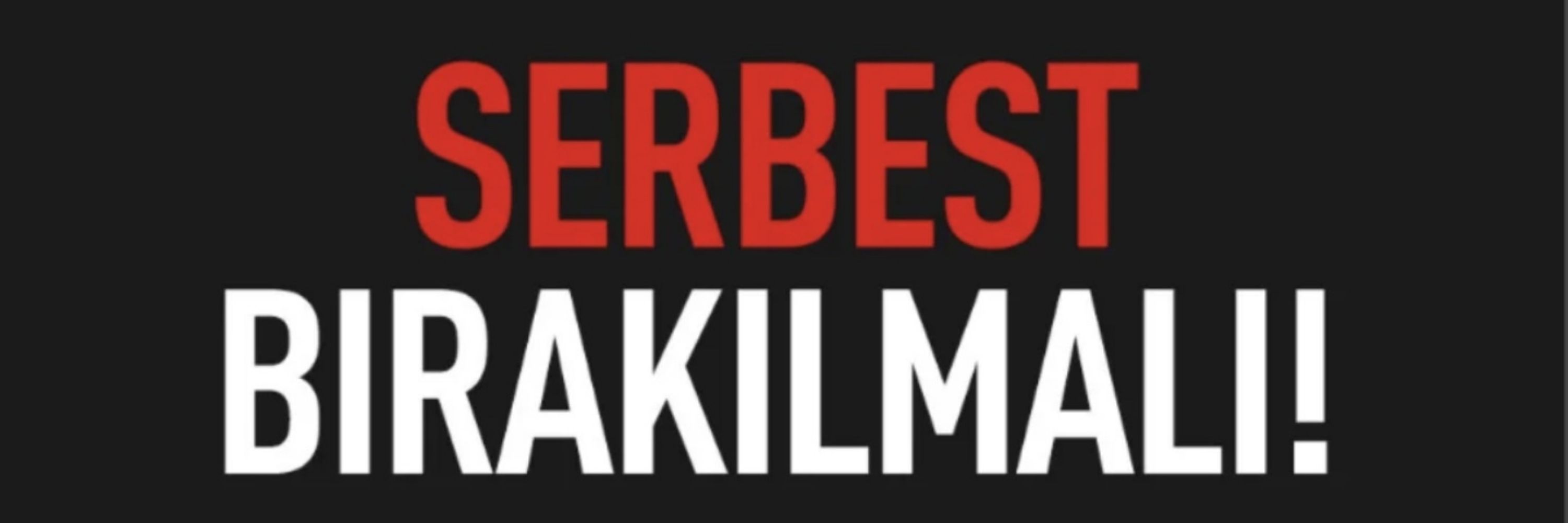 Panik prenses ve yedi ataklar