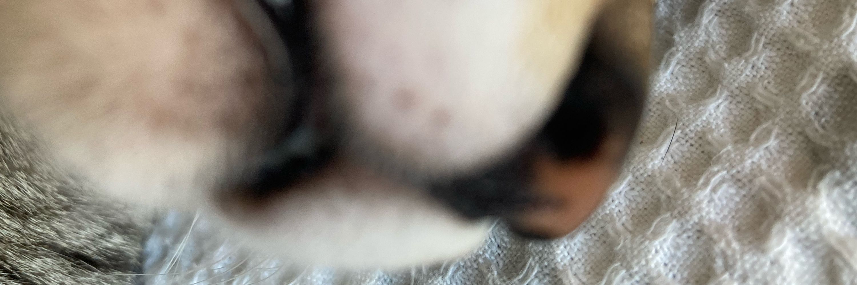 ؘ
