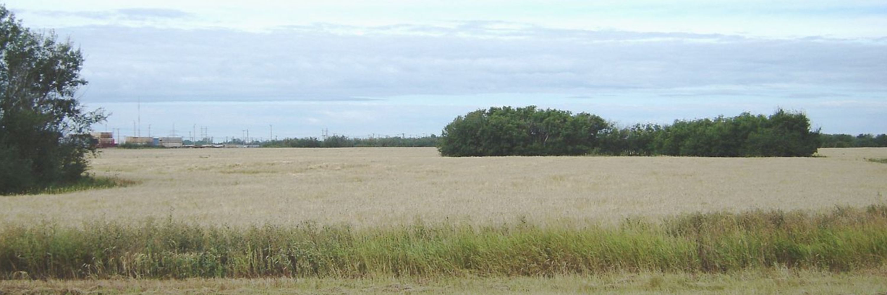 The Stand Centre