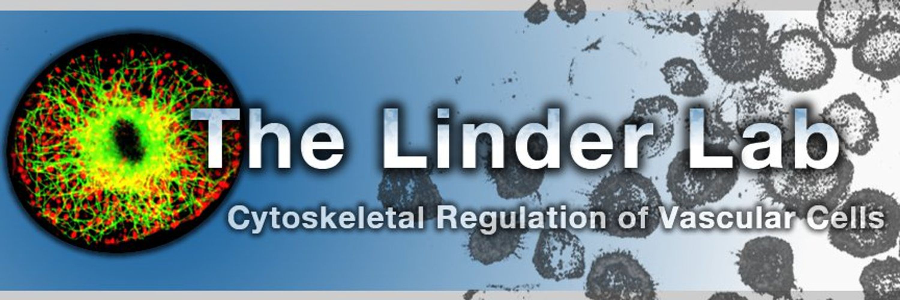 LinderLab