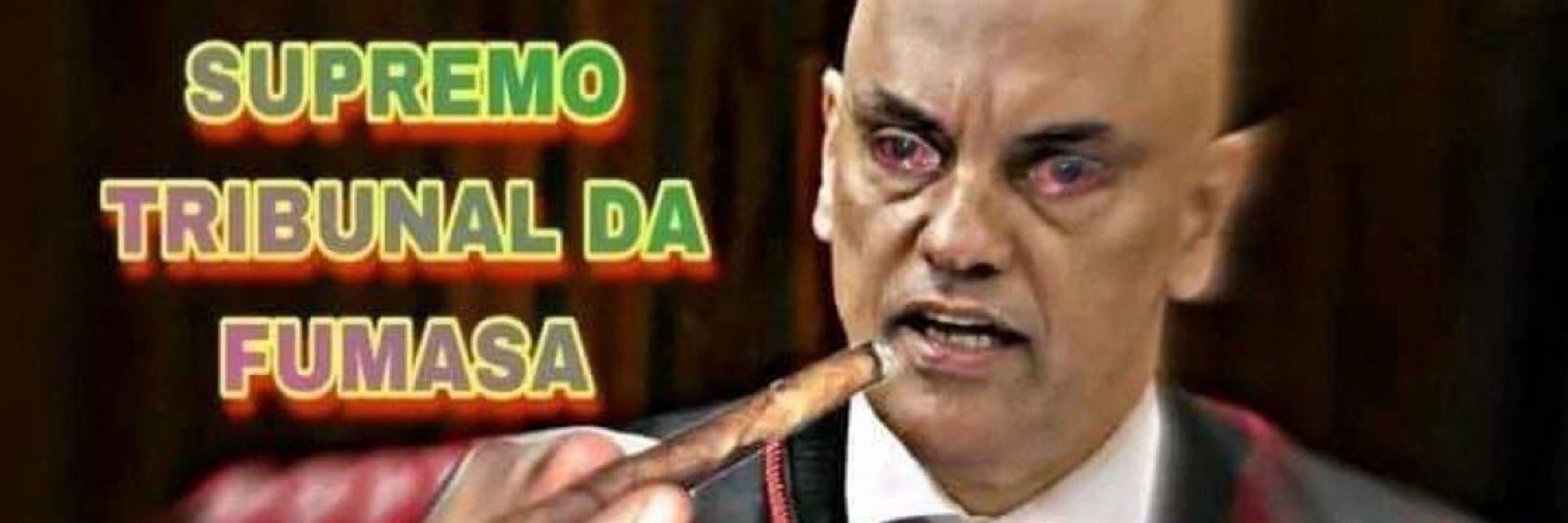 Bebê reborn vegano
