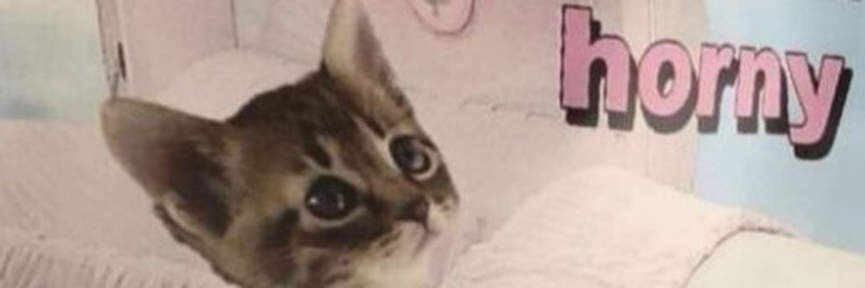 𝕸ø