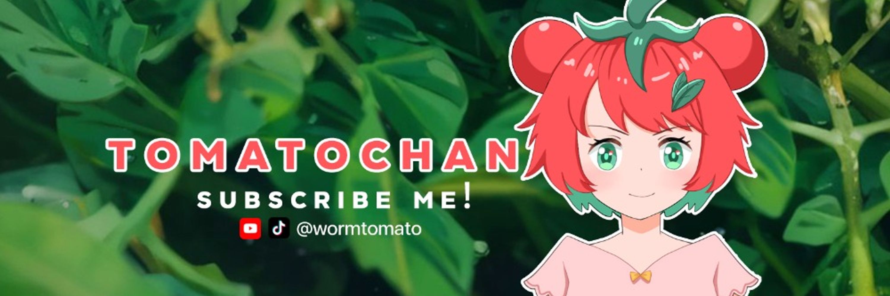 Tomatochan