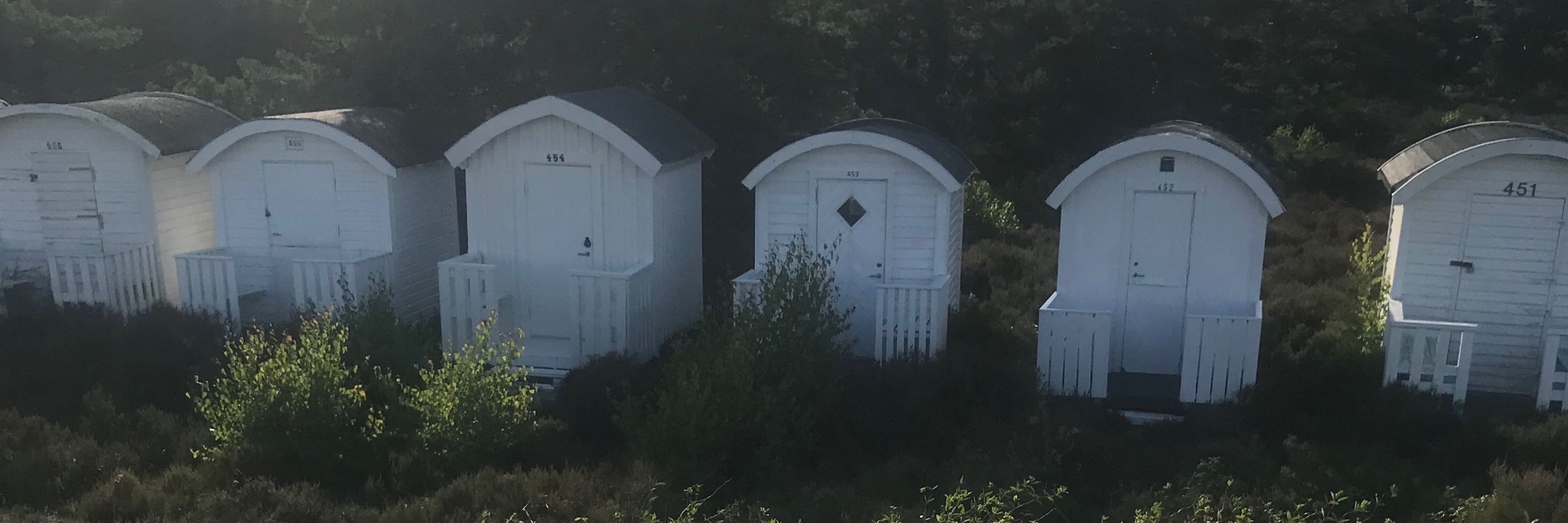 BirgerTwilliam