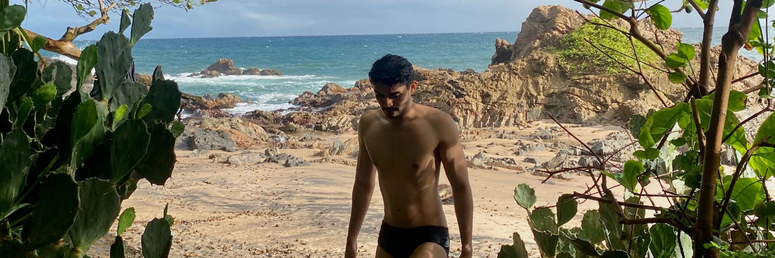 Nandu 