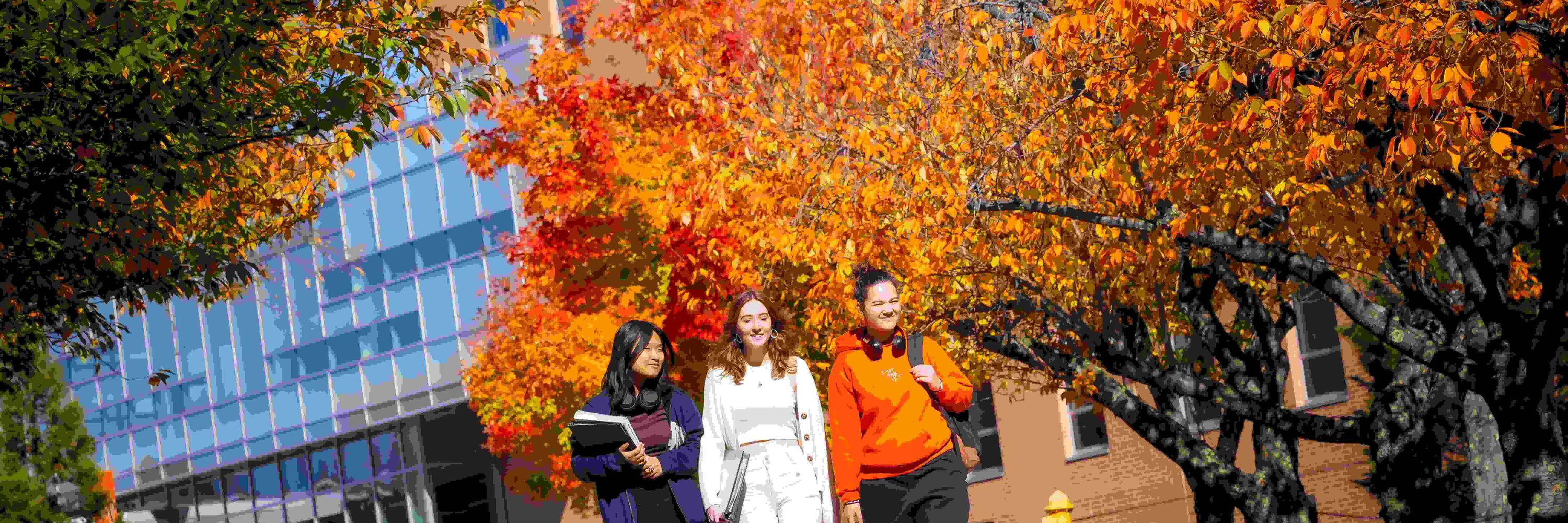 William Paterson University