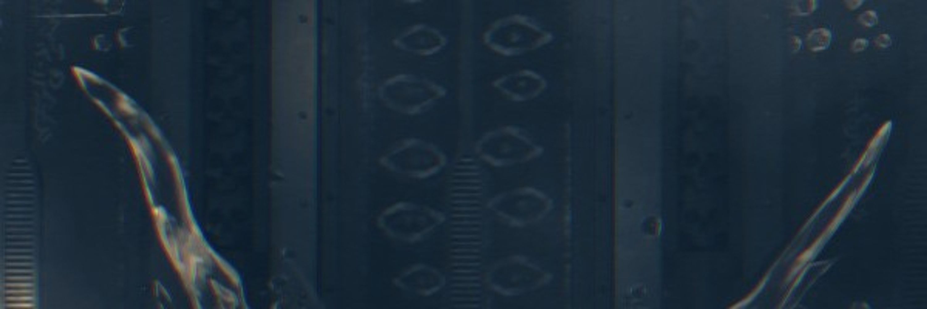 ᠂ᅠᅠᴍᴀʀᴀᴢʜᴀɪ.܂