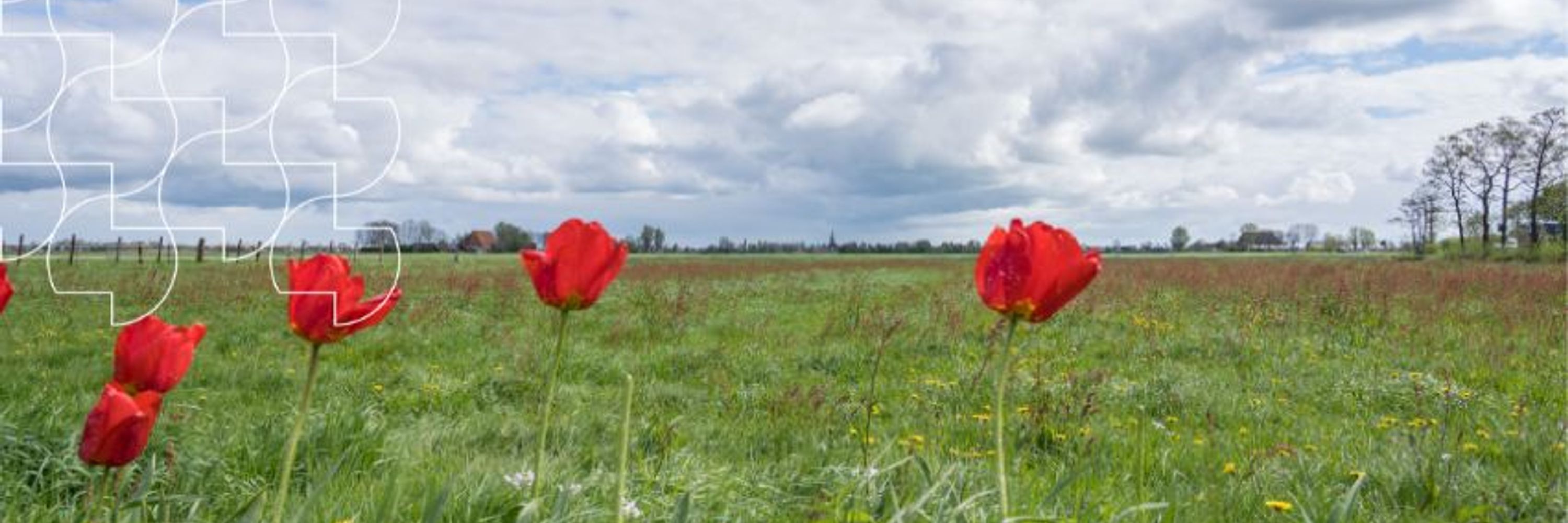 Gemeente Súdwest-Fryslân