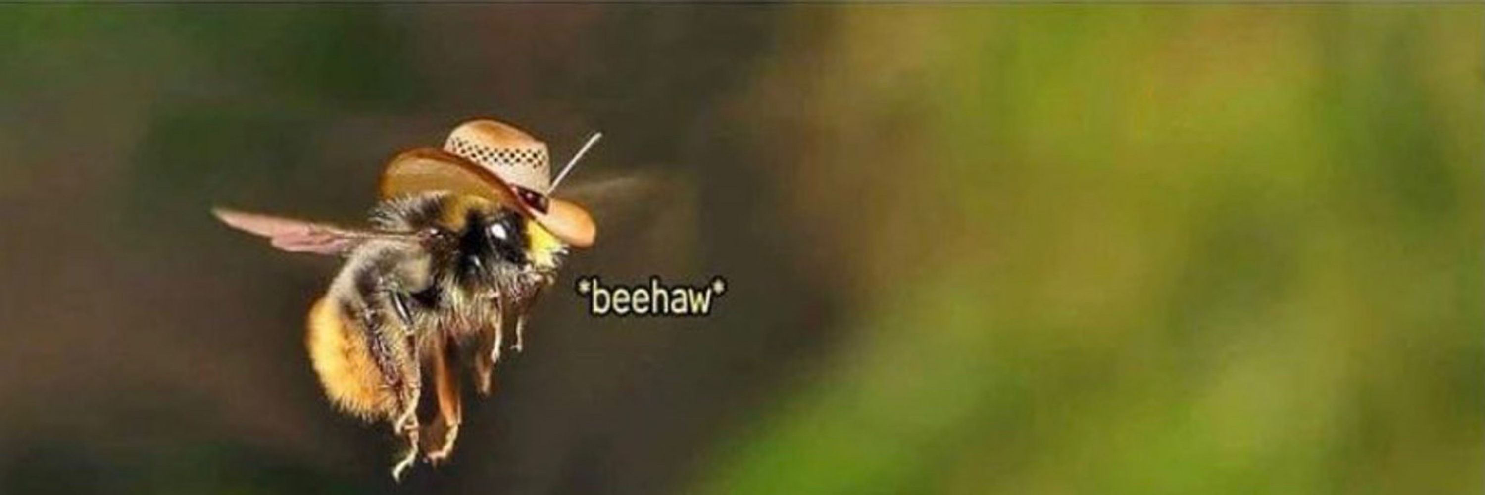 SpoopBee