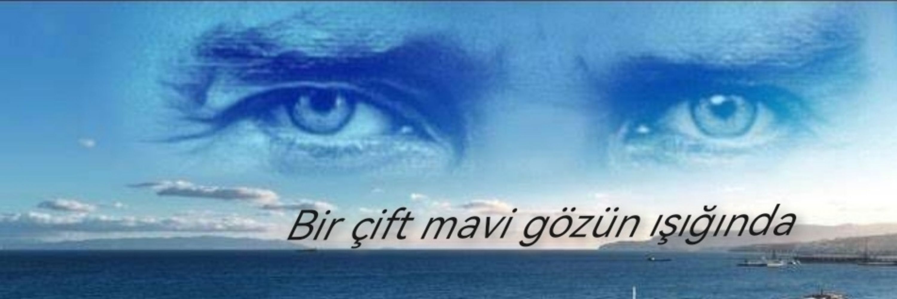 Mavi🌍