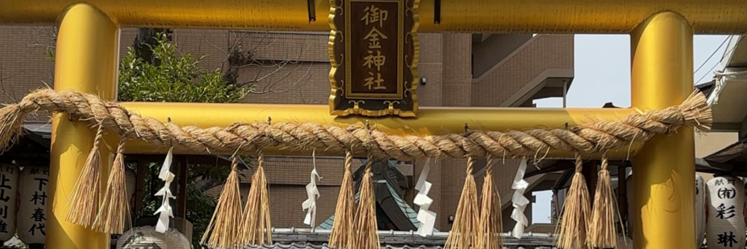 棗翡翠・アロエ=エメラルド