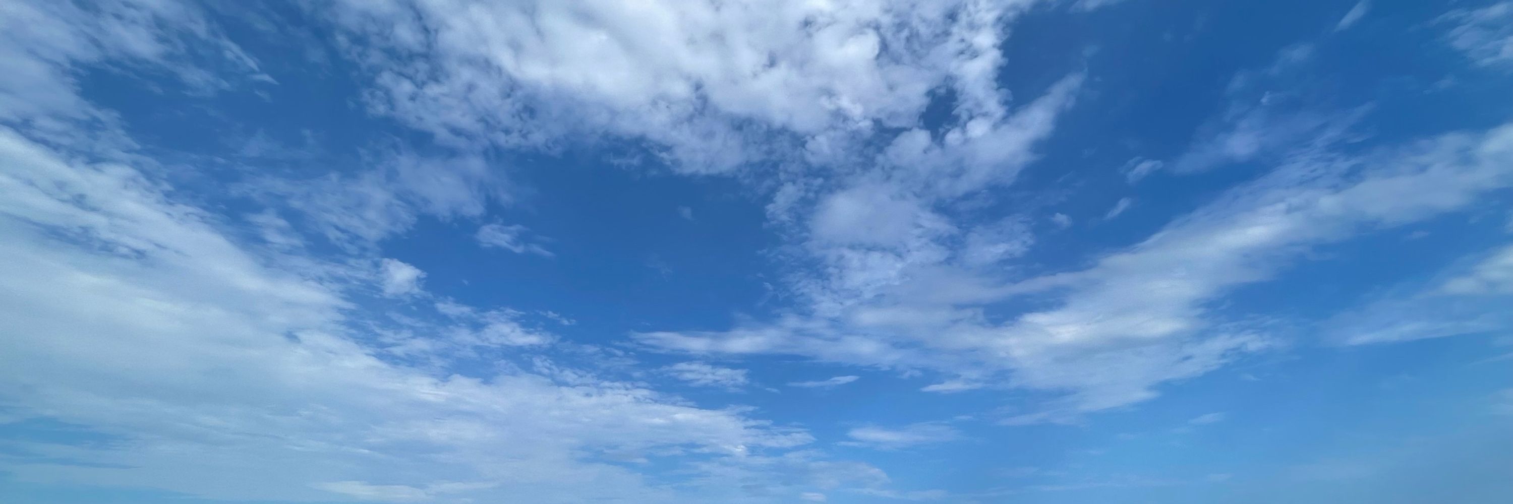 圭