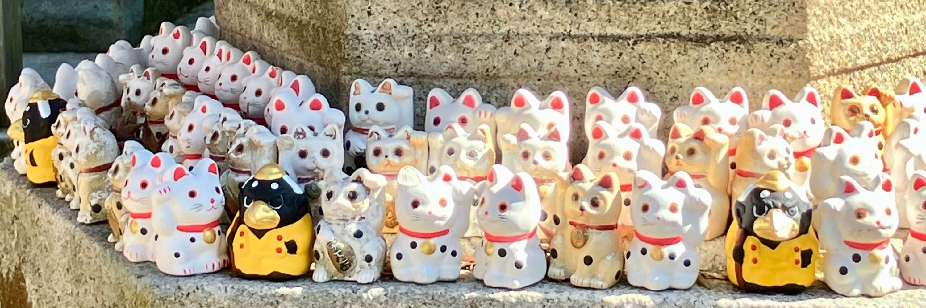 ともむ