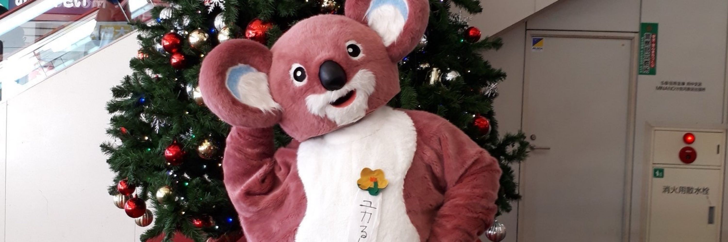半ズボン君