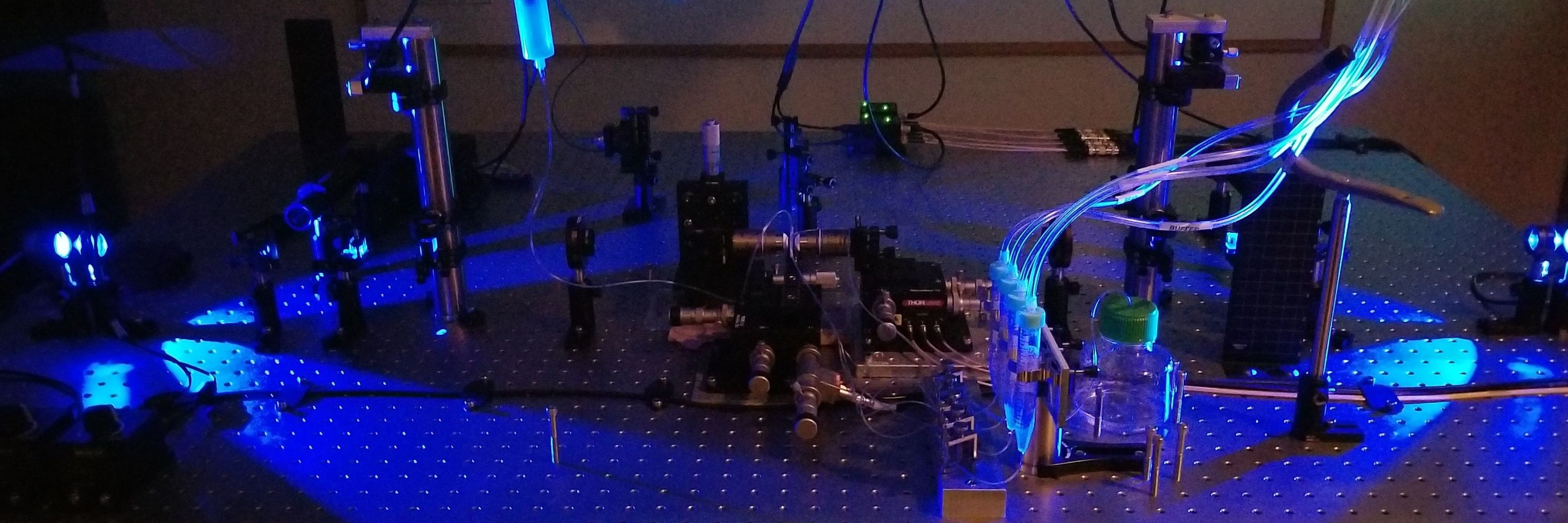 Single Molecule Biophysics Lab @Bridgewater State University 