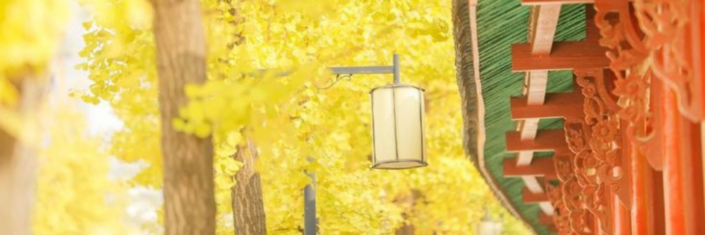 洋子🍂1-E