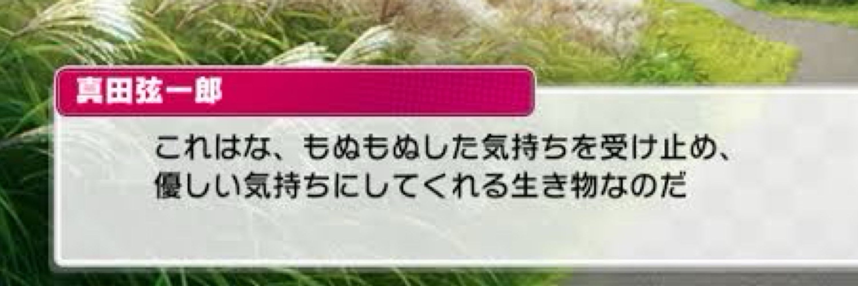 みも