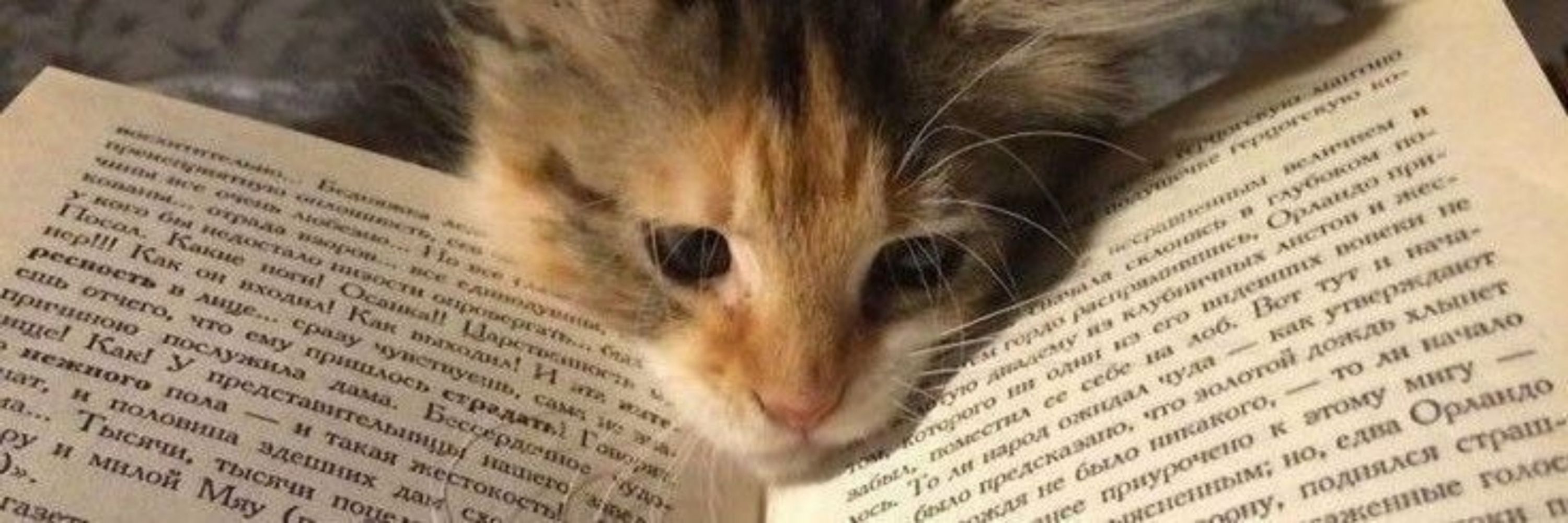 Кори