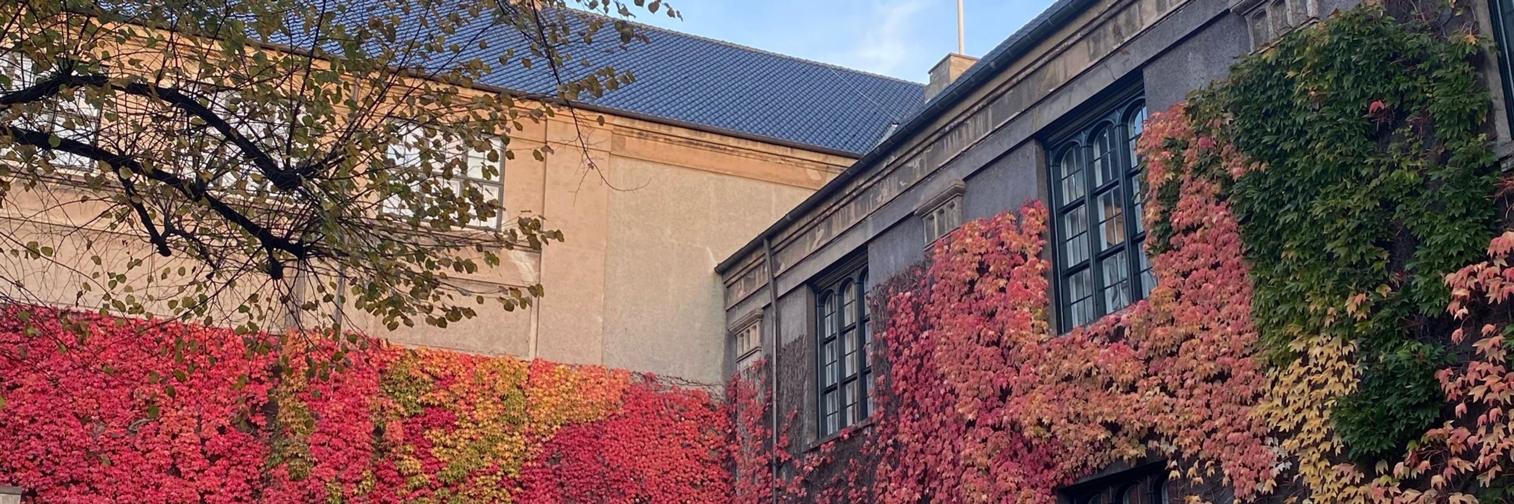 Anders Pall Skött