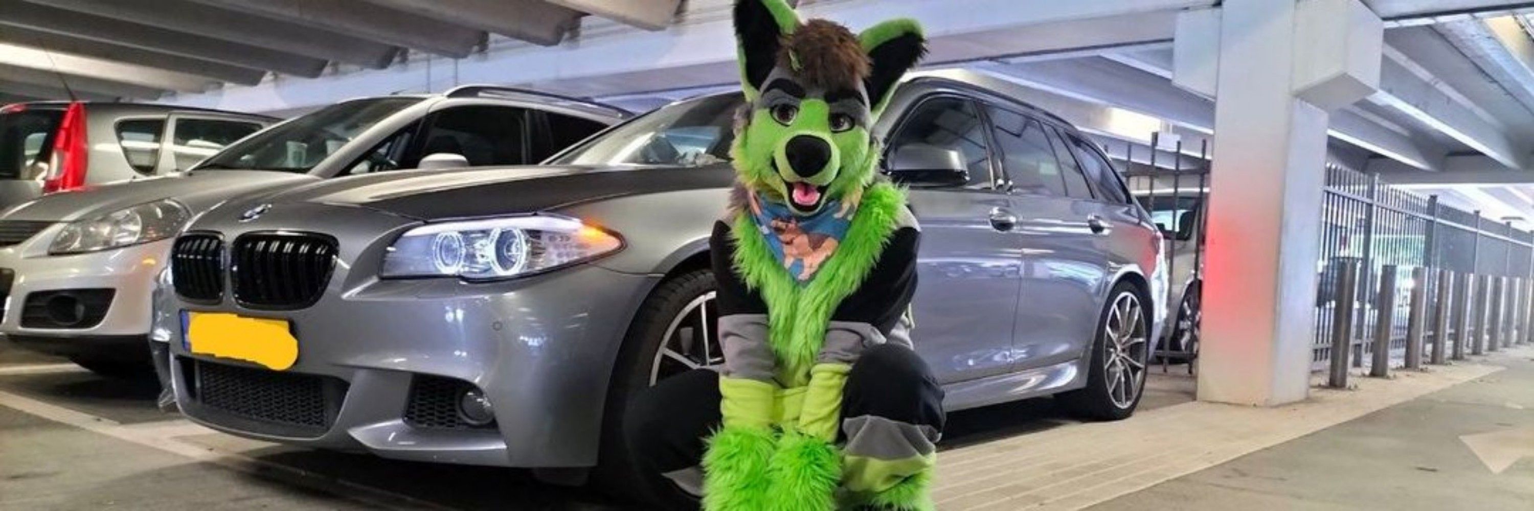 Rico The Wolf
