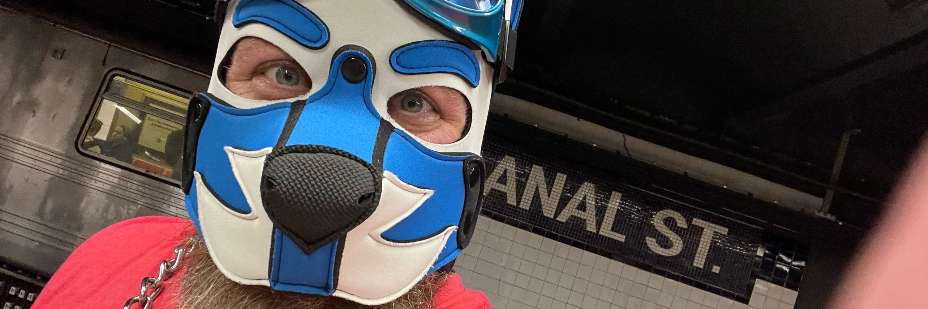 🐾 Cobalt Blu Wants Tacos  🐾 🇨🇦 🌮