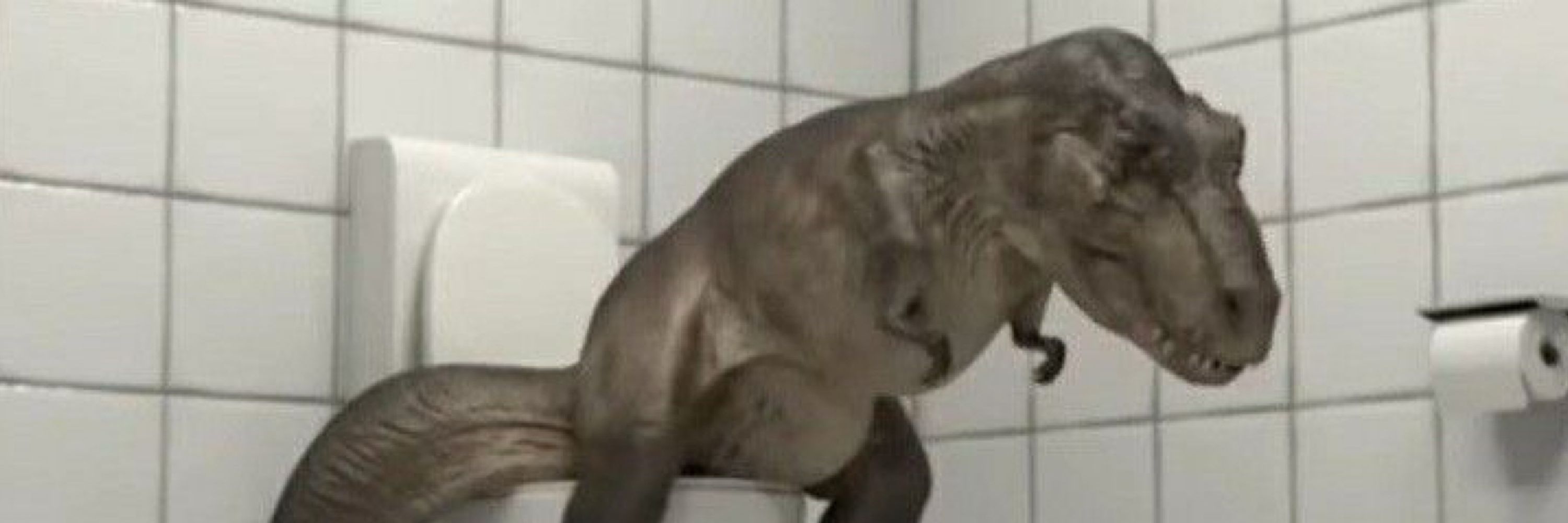 ౨ৎ