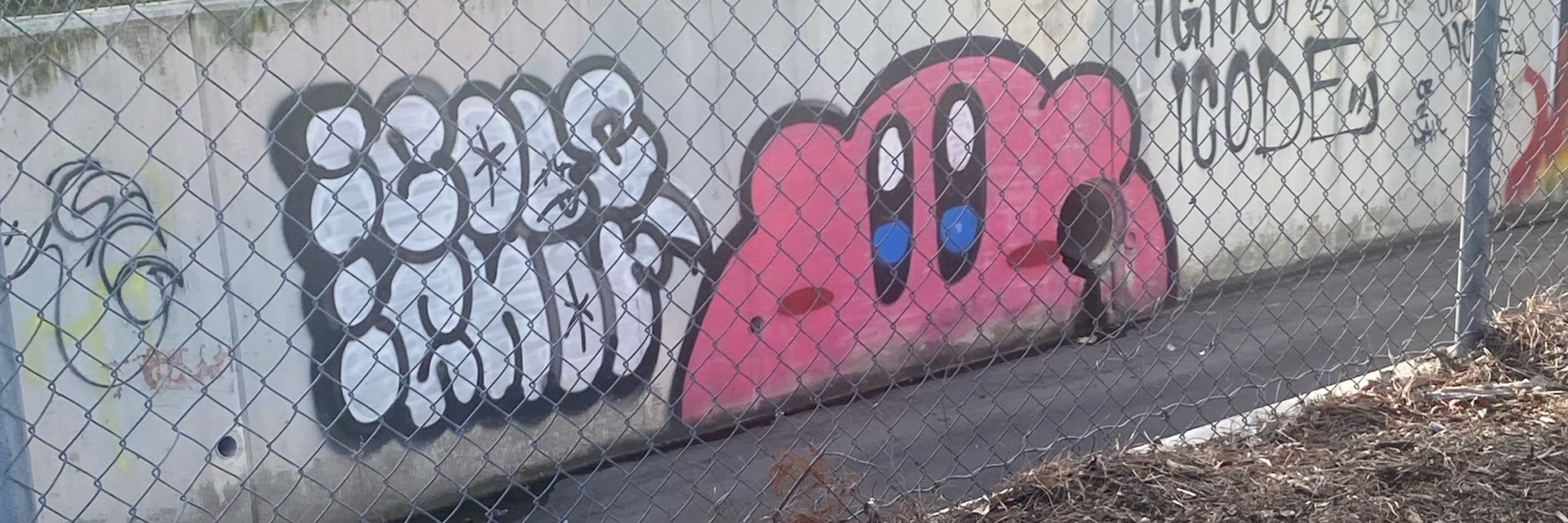 “Neo”