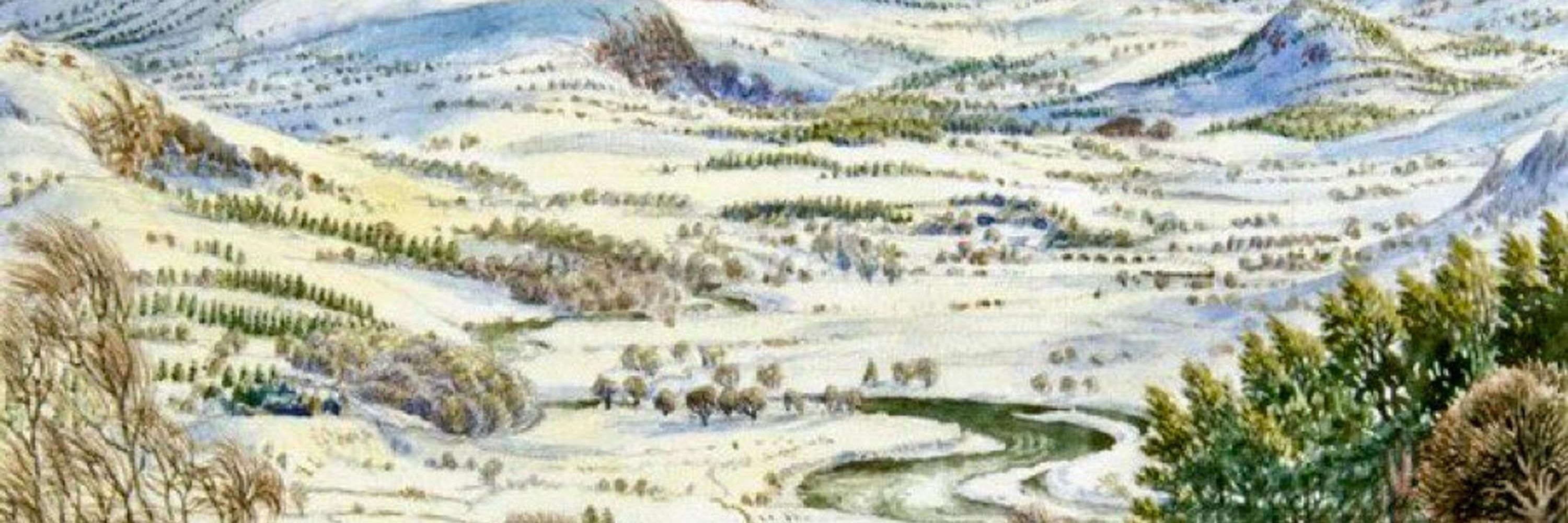 Holleri