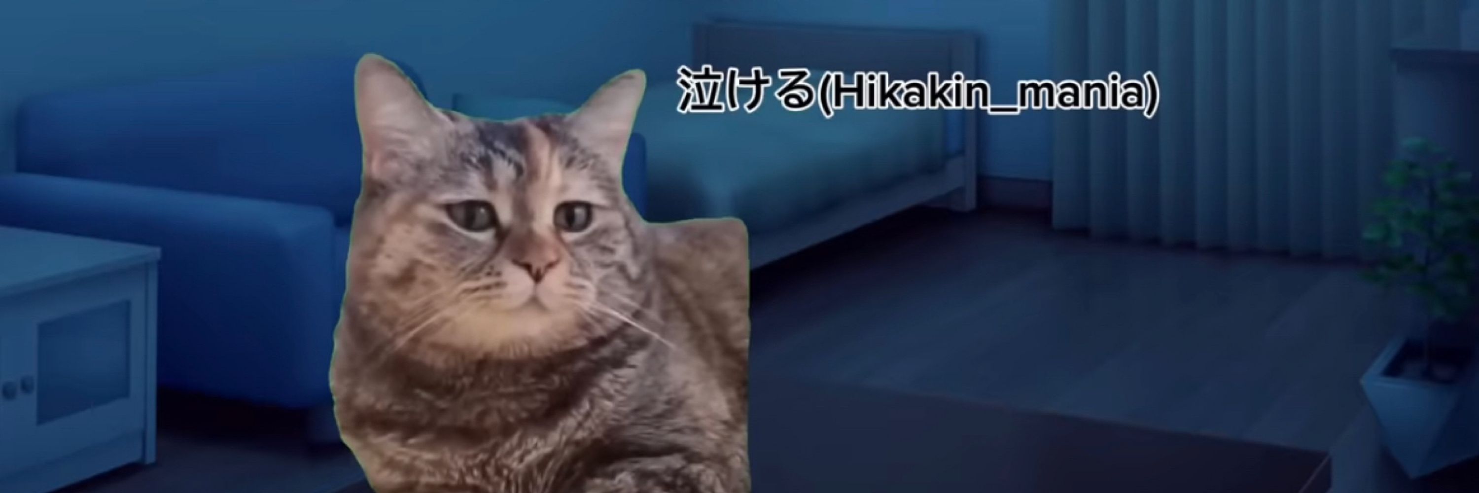 おうどん