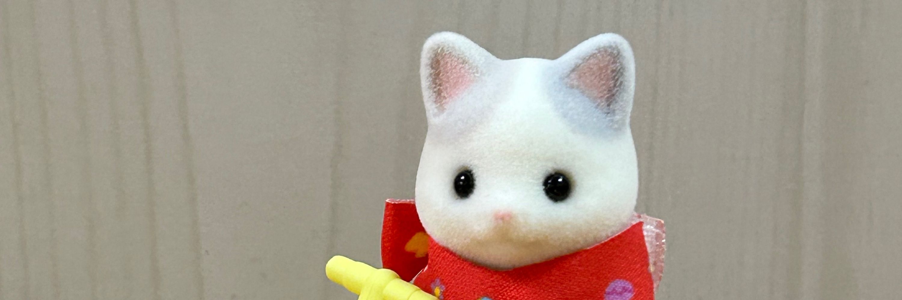 ゆずぽん